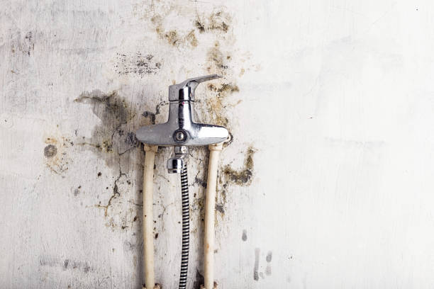 Best Office Mold Removal Services  in Coleraine, MN