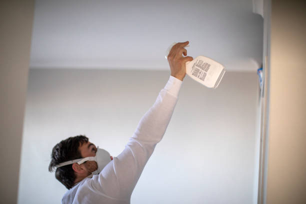 Best Residential Mold Removal  in Coleraine, MN